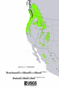 Distribution of Douglas Fir from USGS ( “Atlas of United States Trees” by Elbert L. Little, Jr. )