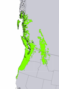 Distribution of Western Red Cedar from USGS ( “Atlas of United States Trees” by Elbert L. Little, Jr. )
