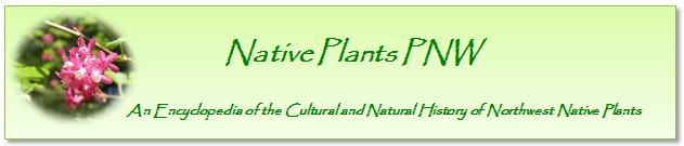 Native Plants PNW