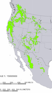 Distribution of Ponderosa Pine from USGS ( “Atlas of United States Trees” by Elbert L. Little, Jr. )