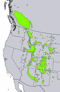 Distribution of Rocky Mountain Juniper from USGS ( “Atlas of United States Trees” by Elbert L. Little, Jr. )