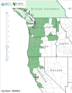 Distribution of Low Oregon Grape from USDA Plants Database 
