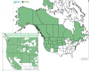 Distribution of Saskatoon Serviceberry from USDA Plants Database 