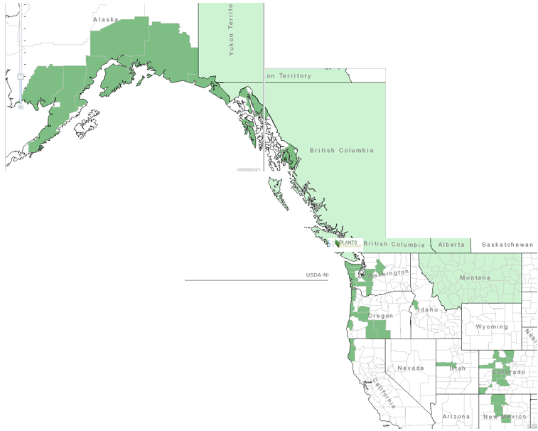 Distribution of Trailing Black Currant from USDA Plants Database
